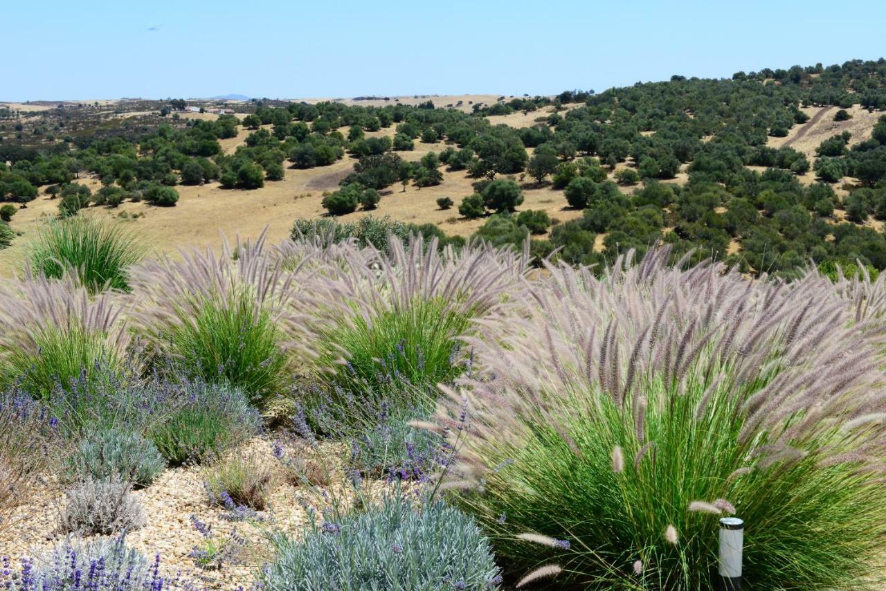 Vistas - Herdade Do Zambujal คาสโตร เวร์เจอ ภายนอก รูปภาพ